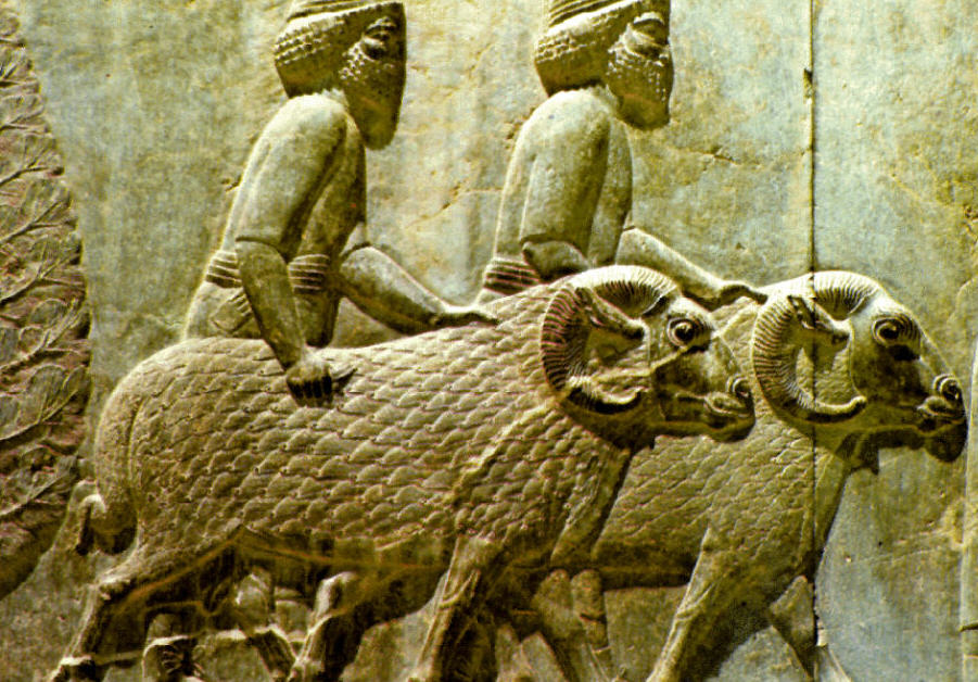 the-4-major-ancient-mesopotamian-civilizations-that-existed