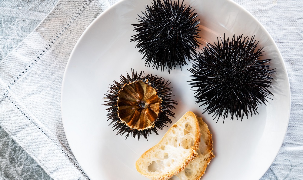 Boiled Sea Urchins